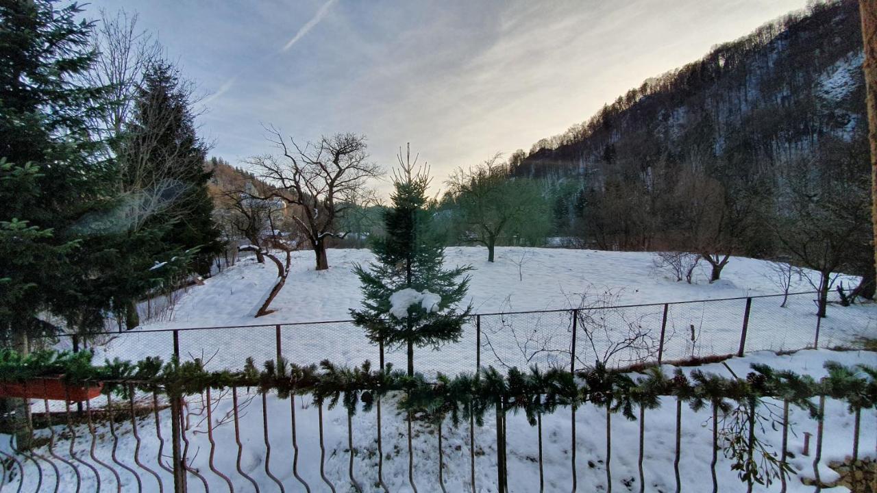 Bran 99 Villa Exterior photo